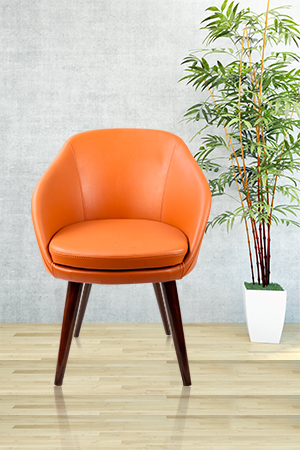 Lounge Chair